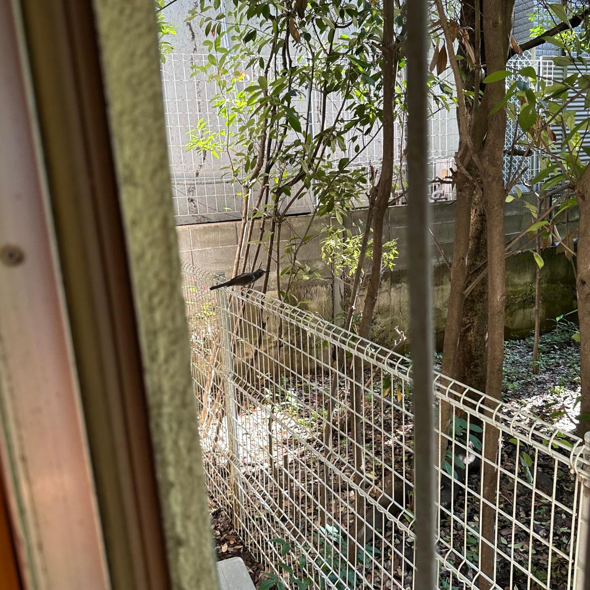 神楽坂戸建てサウス Rumah liburan Tokyo